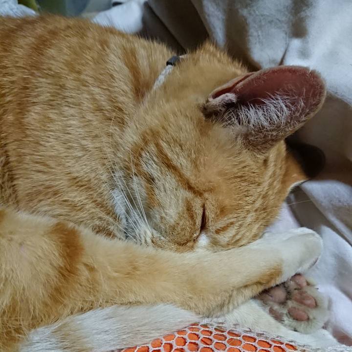 2dfbb04a 8aa1 48e3 9bbc 880669fc48d7 1591620057905