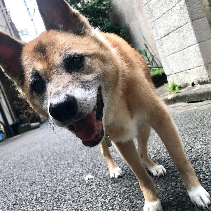 2dfbedb5 1791 4e94 a32d 29cb172f34dd 1533959117684