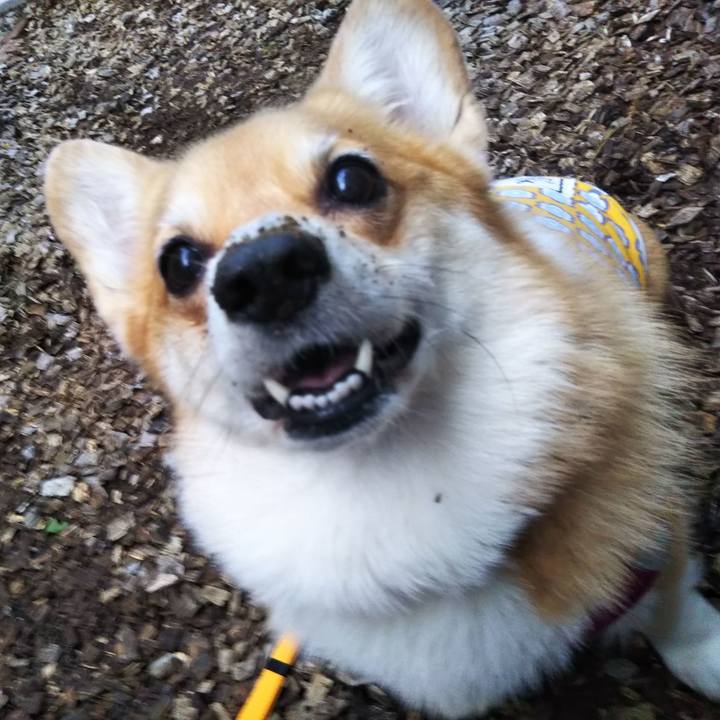 2dfc19d6 30d6 43a7 a3a5 669177d63ed8 1634999310382