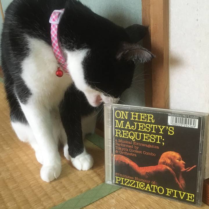 2dfc5209 06ed 4953 9b48 0f226f1dc986 1556630820158