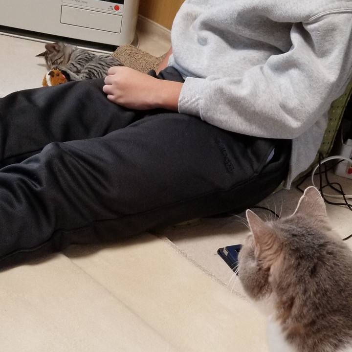 2dfc59f2 eb14 42ae 94f6 828e71ee7e99 1668843268036