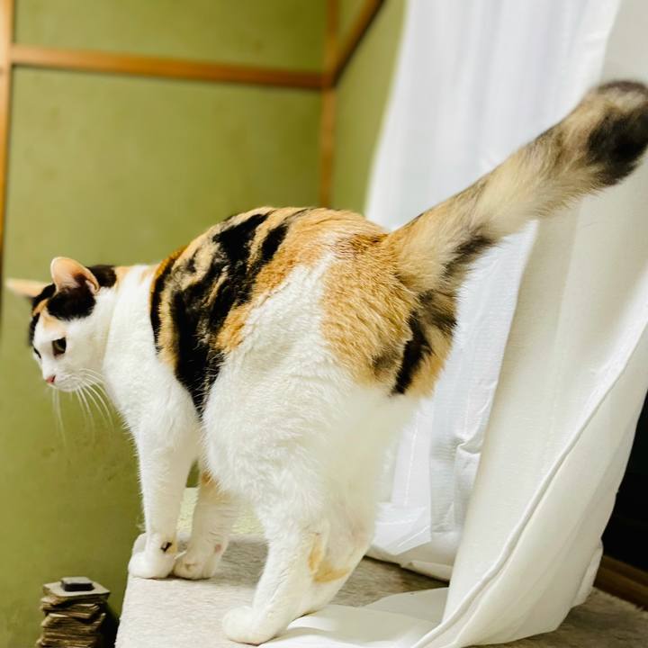 2dfc7304 a85f 4d4e b047 c7b2cf37d24d 1618193438311