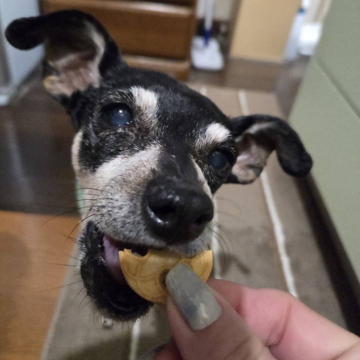 2dfc833e 87a2 493d 8d9d 5bd0ca11e67d 1771444095152