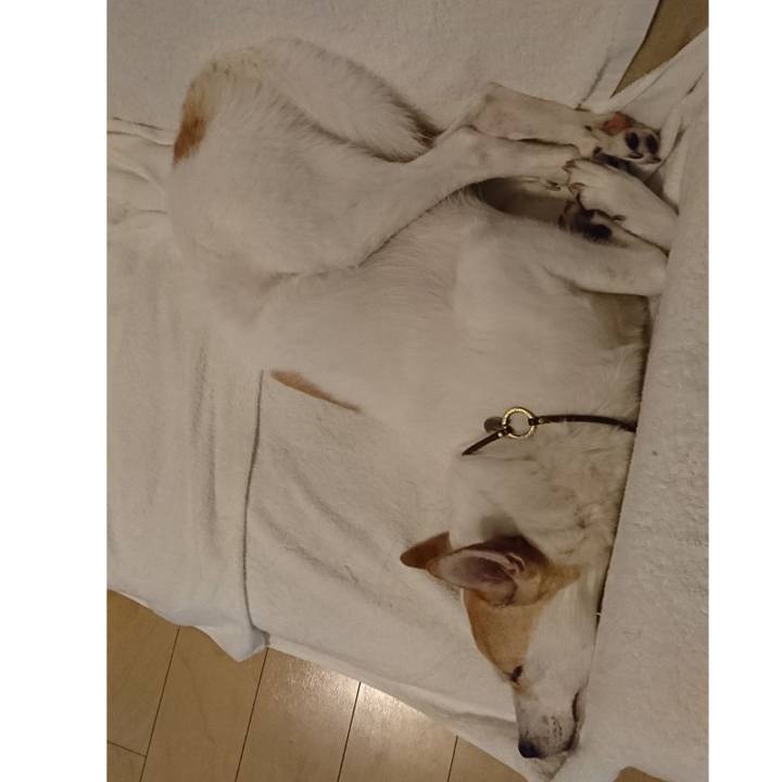 2dfc8905 5608 4600 b18d d1af6e4689bf 1561775832696