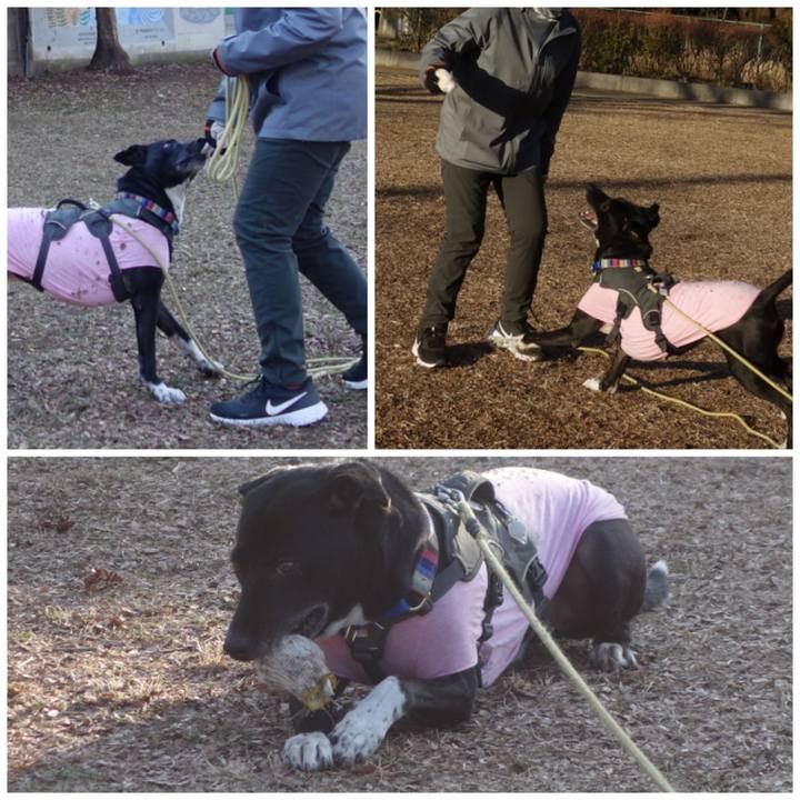 2dfca4a6 5d99 4ef3 b865 c1ebec1434cf 1644368531579