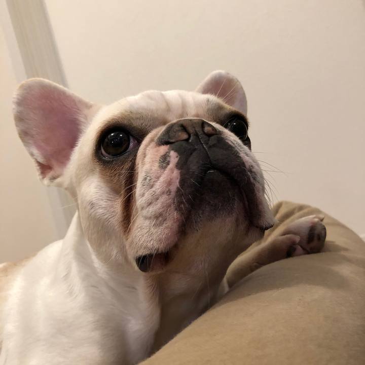 2dfca905 a500 43ac 9d67 b3afaf54a660 1542300282784