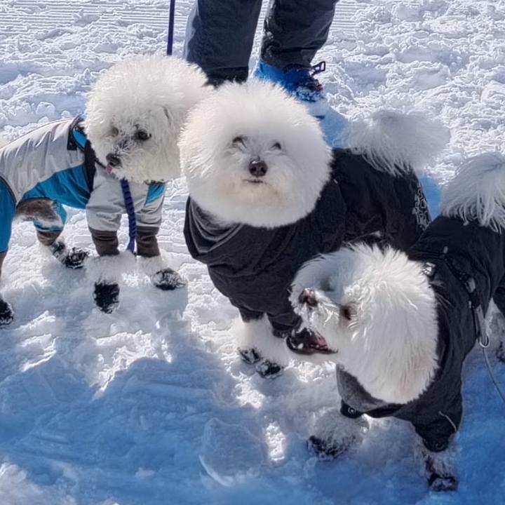 2dfcc30d 878b 4fe3 9b5e f8bf94329351 1768690655220