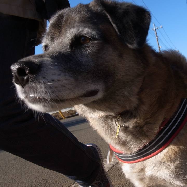 2dfcce6f 53e0 457f 9b1a c6ccb8231294 1596798938414