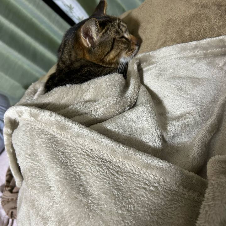 2dfcd92c 853c 4345 93d9 2295c01249c9 1768915328866