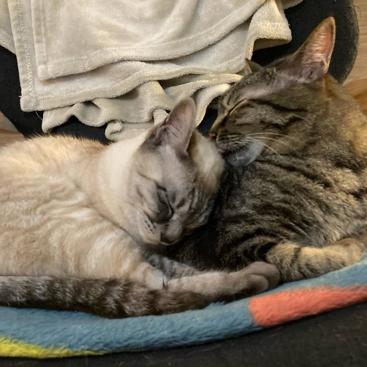 2dfd04a0 9331 45cd 85e4 47c318ef201b 1615621480613