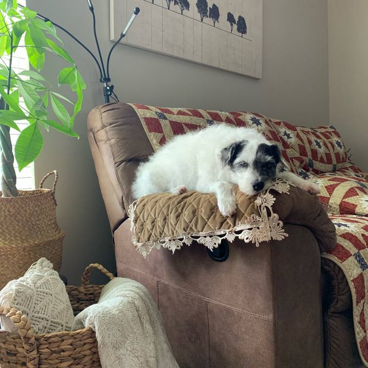 2dfd1f63 137a 4be0 9017 d609ee49fc2e 1651616841369