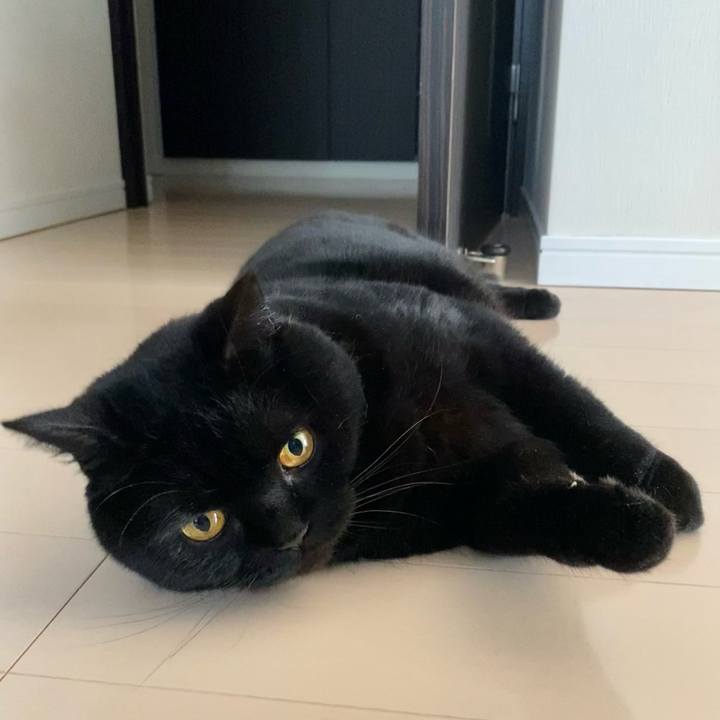 2dfd7f3a 38d2 4263 b0ac d2e0a88f5659 1713831986691