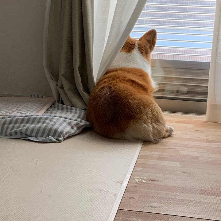 2dfd951e 11ae 417a 93ee cf14c6a382d8 1695011039092