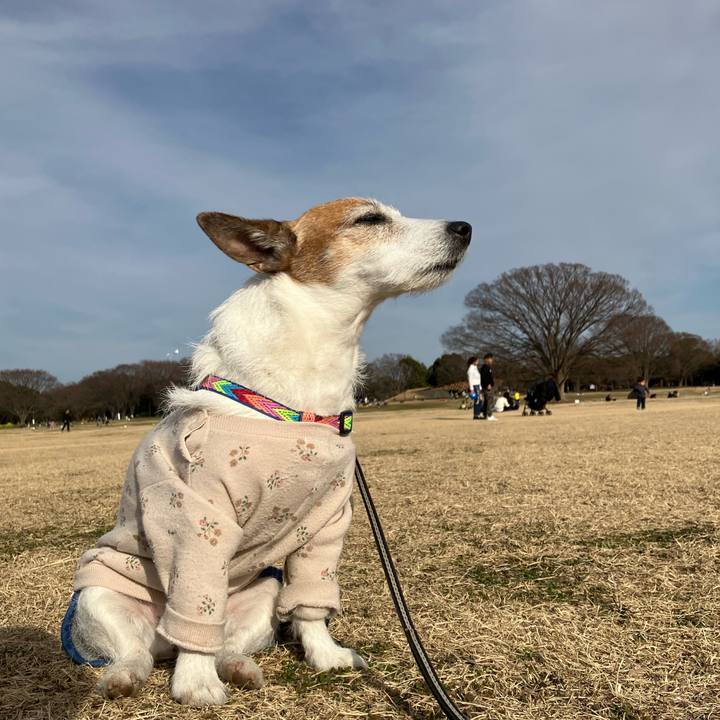 2dfd9a13 ee66 4dd6 8b44 5a8620e14a96 1676244195620