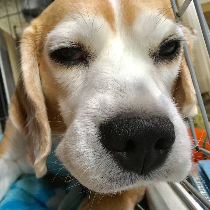 2dfdb882 a5b3 43c0 b75a 06fb51fa128e 1540625956500