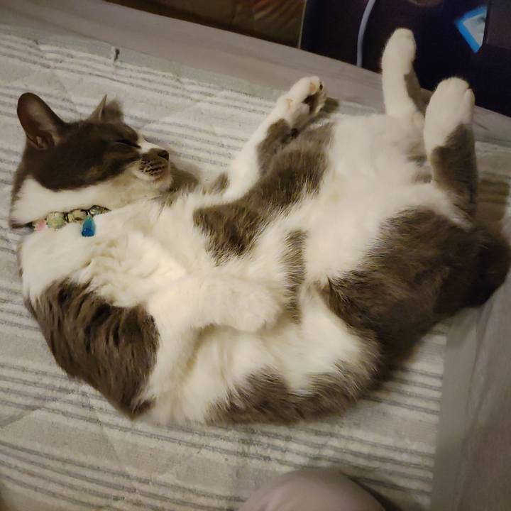 2dfdbed8 5d12 4b31 a0eb 7bc42bcf15f4 1716125296169