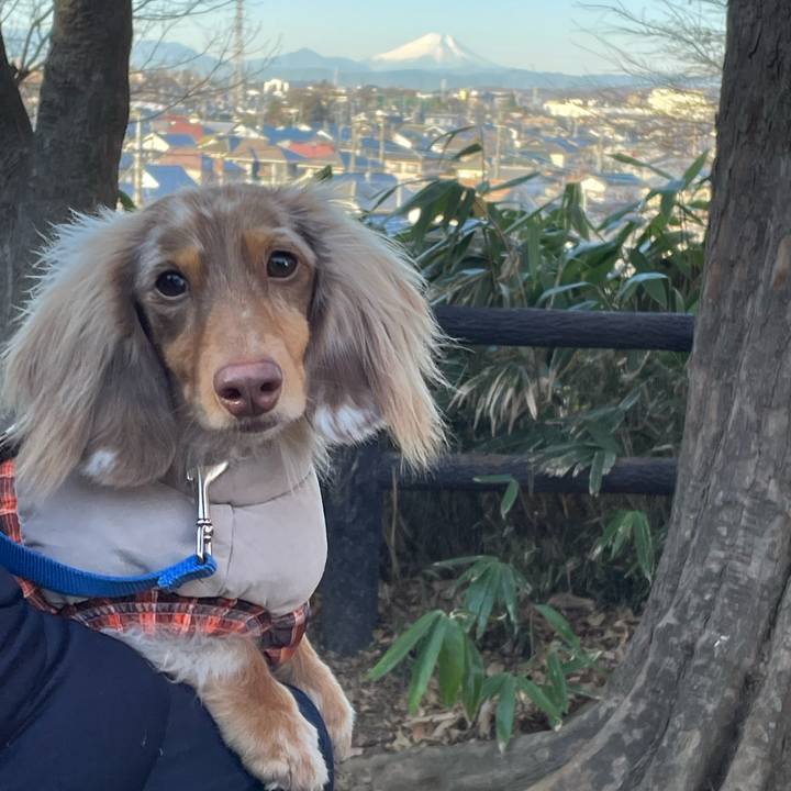 2dfdc4f2 a19e 4347 b25f 8fee541424c4 1769912196506