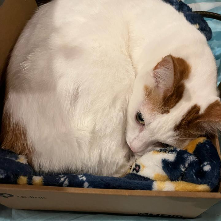 2dfdca20 b42e 4abb 8d8a e0b360497c12 1767828280402