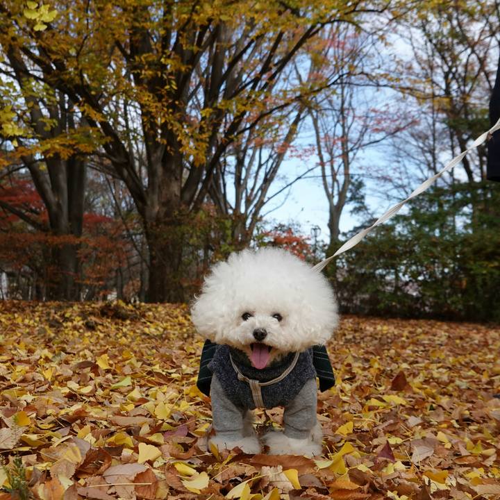 2dfdf018 5113 4a44 8250 f4aae9104ddc 1544755077175