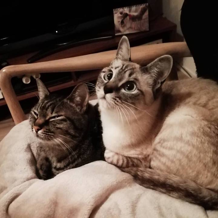 2dfdf9a4 c83d 47e4 b549 00d5e4359351 1554546724569