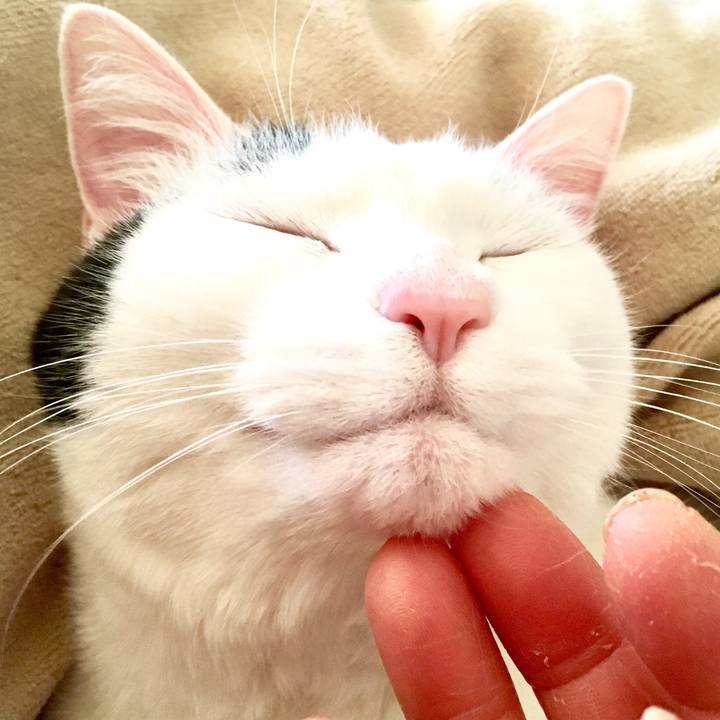 2dfe3200 9a8c 4b17 b2a3 22bb2928dbfc 1556919676911