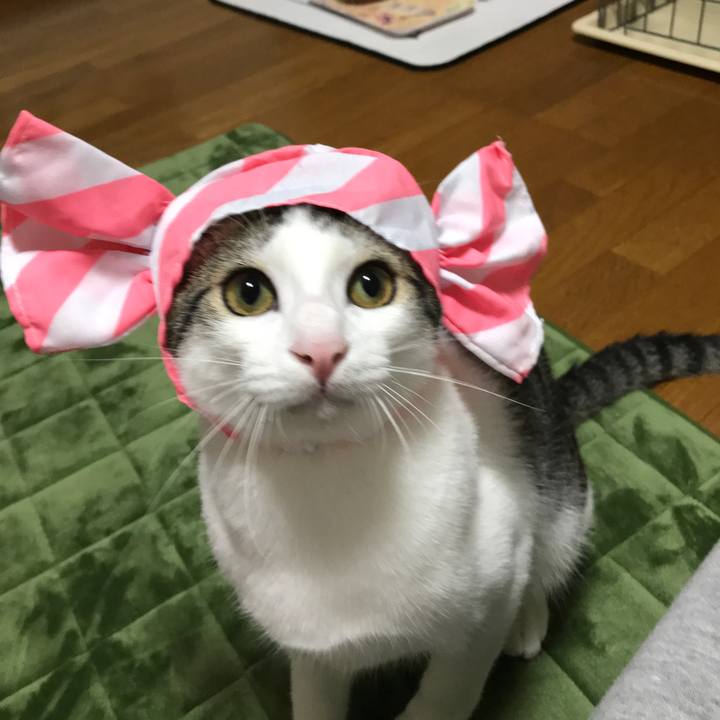 2dfe5d8c 6b8e 4924 856c ced97e25ebbe 1539689552980