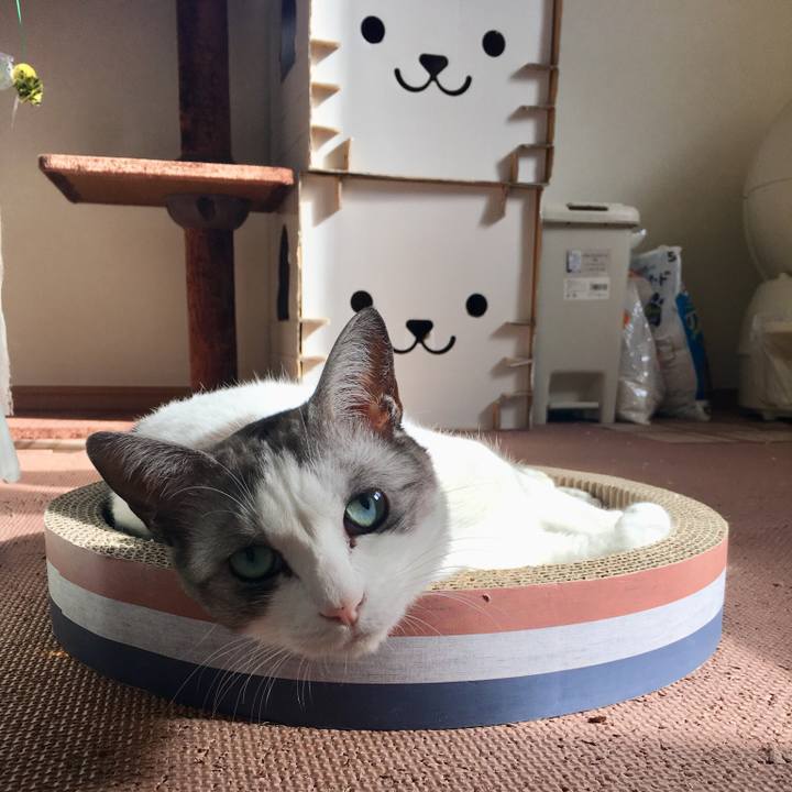 2dfe9978 e528 468c a829 ba8c206c4bbc 1511750486383