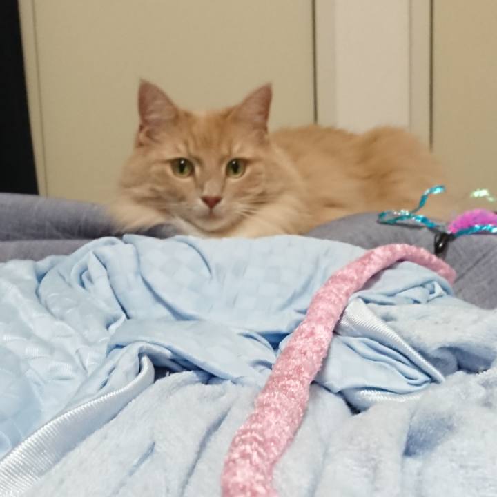 2dfec5f0 9190 4868 bbbe 2f49e2190507 1567774900717