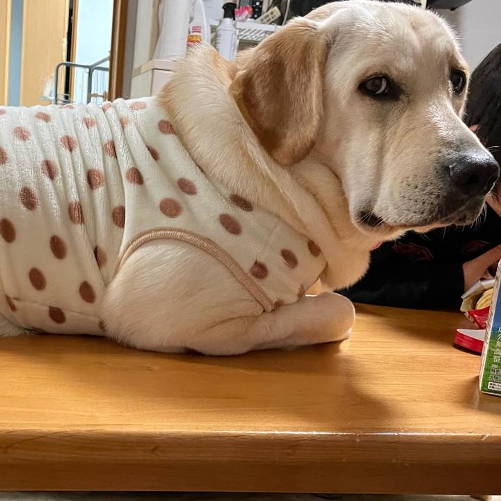 2dfefc69 155e 40fe 97ac f4393a2d605b 1636347781190