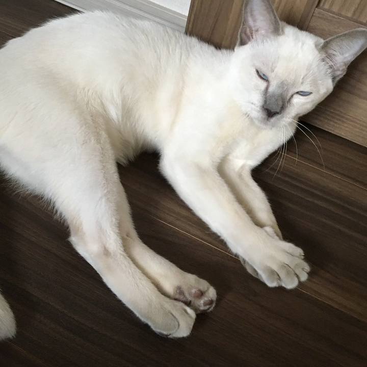 2dff02a5 93bd 4c44 89b9 aca0d8cf157b 1740637009166