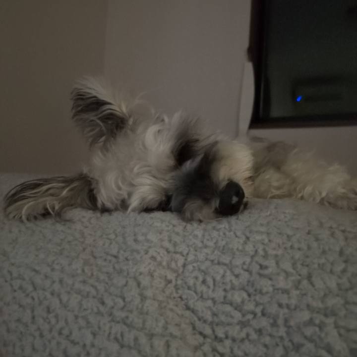 2dff1200 9256 4eec 96bc e4984838ec00 1758112817329