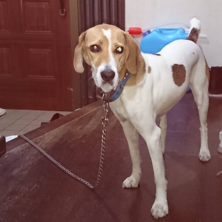 2dff1704 5823 4955 a86b aae64b7d36f7 1573465514808