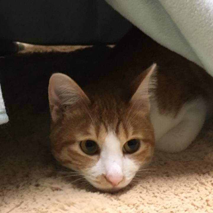 2dff4155 5419 44f5 a9f3 93cc7d8bd533 1507891471521