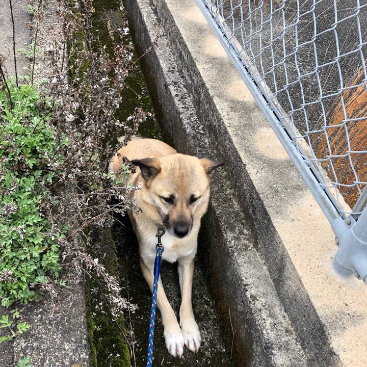 2dff445b bd37 4cbd a662 bab54b9d1a44 1551518154028