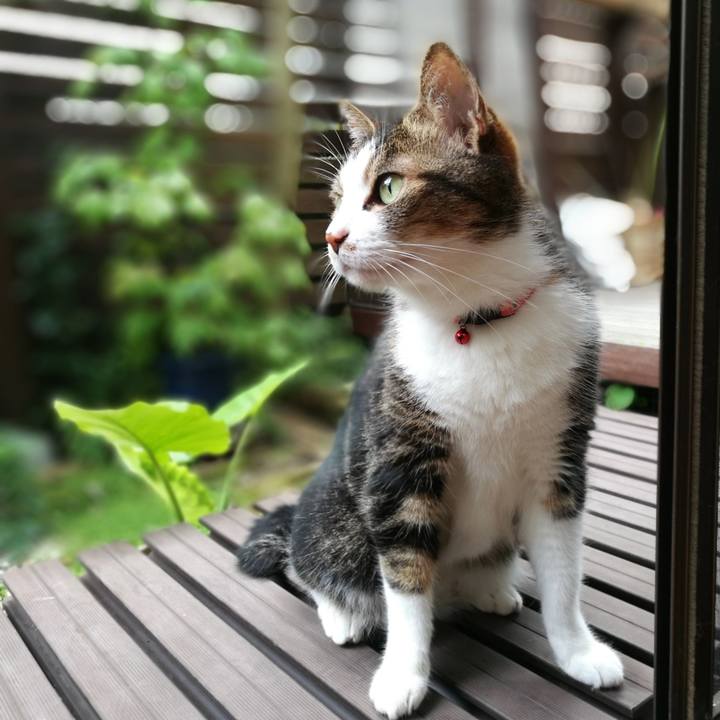 2dff68cf 43f6 4f26 80f4 217d25c21593 1566440809939