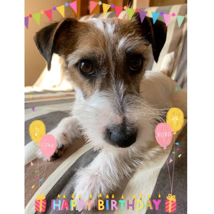 2dff7d74 e392 4775 94ac c76e2de9c26b 1583227188732