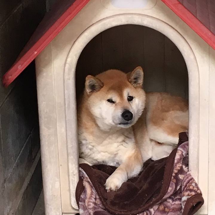 2dffabfe fd66 433c 8720 ac4ea2d7a5ee 1558421664705