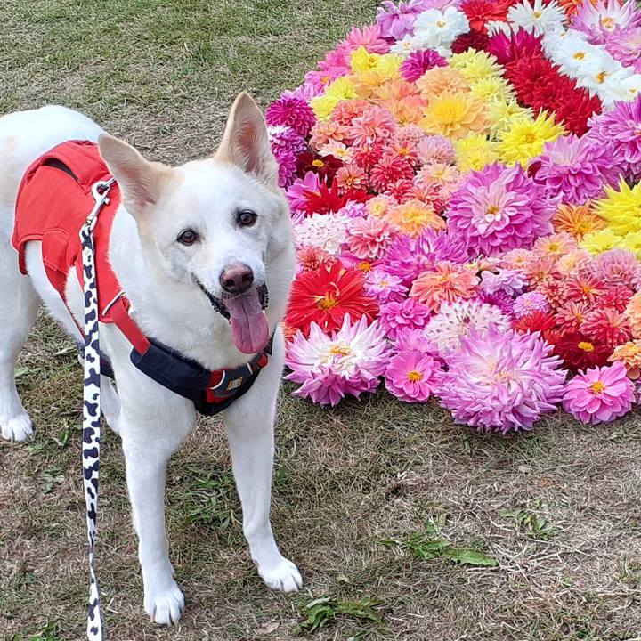 2dffb3f4 7464 4136 88cc 18f3c08ac1ac 1762145029306