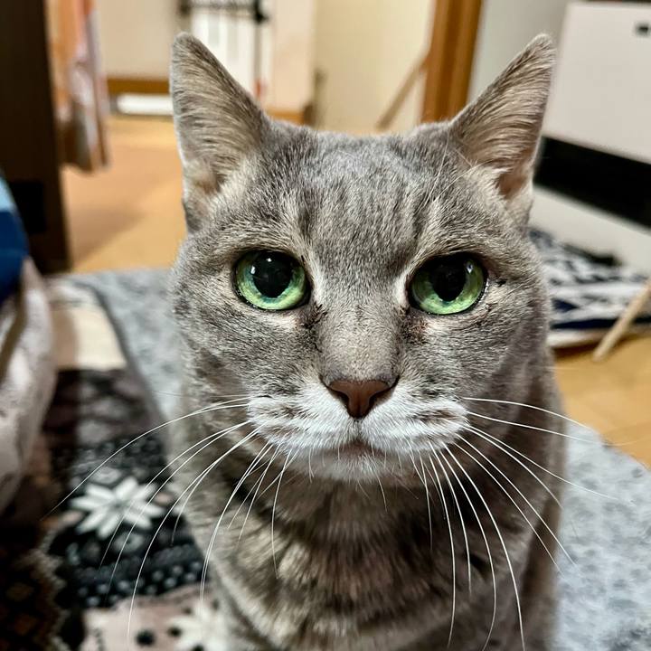 2dffd112 d557 40f7 9f00 bf64fdc7a569 1773482063009