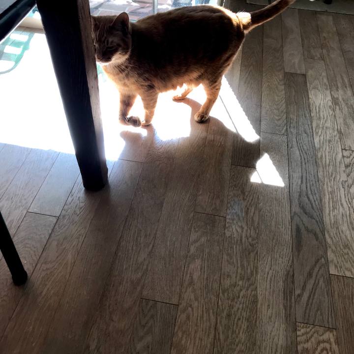 2e0001fd 290d 4994 bbf0 58e2a2100b47 1520844448089