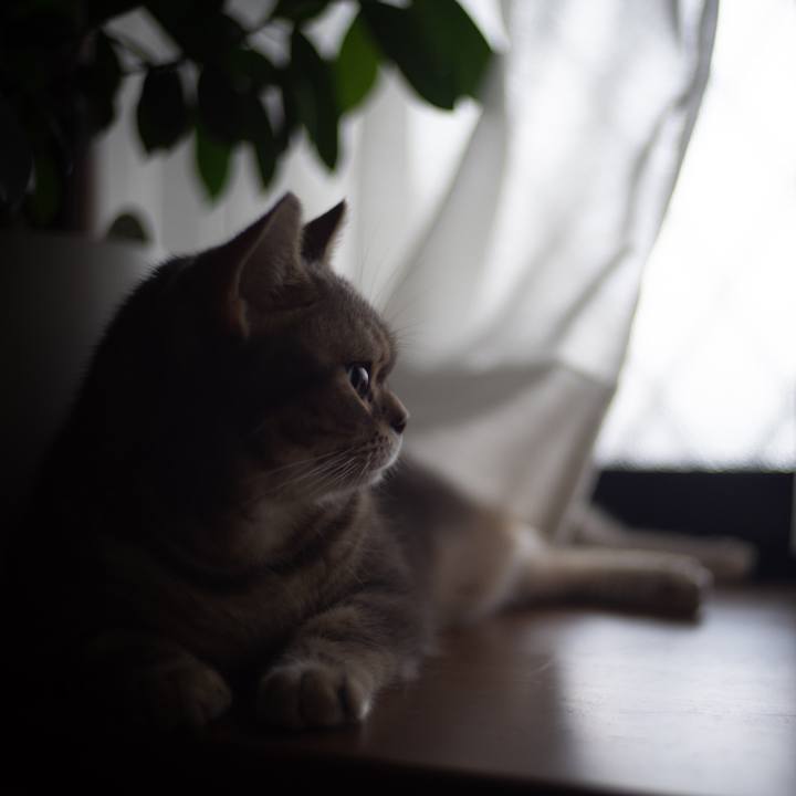 2e000ead 5a1f 47f8 a386 792730744aa5 1532833048721