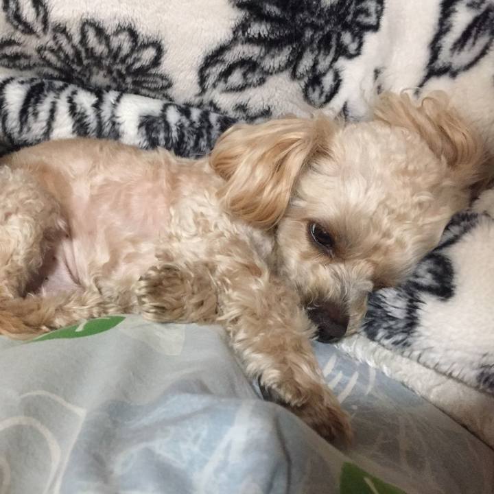 2e00108b 4c01 424b a9b2 5ec142bbdea8 1552663206440