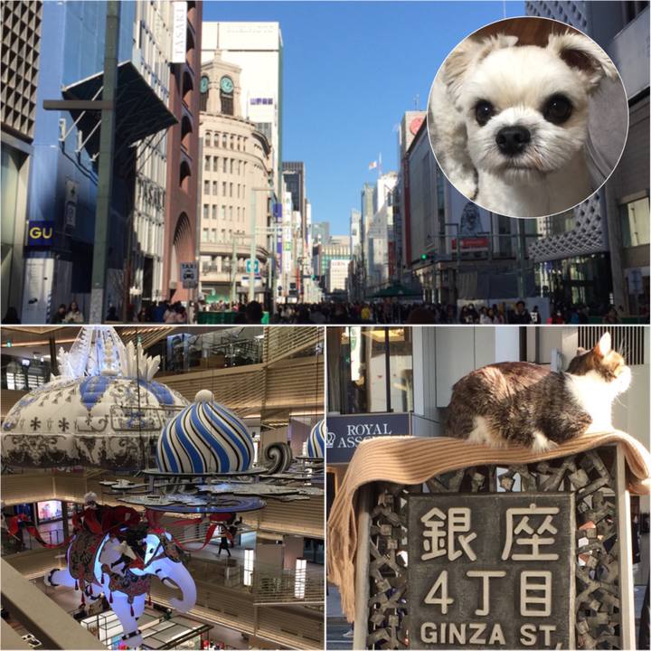 2e004ba9 87a0 4c74 aa2d e7926191b165 1547889151337