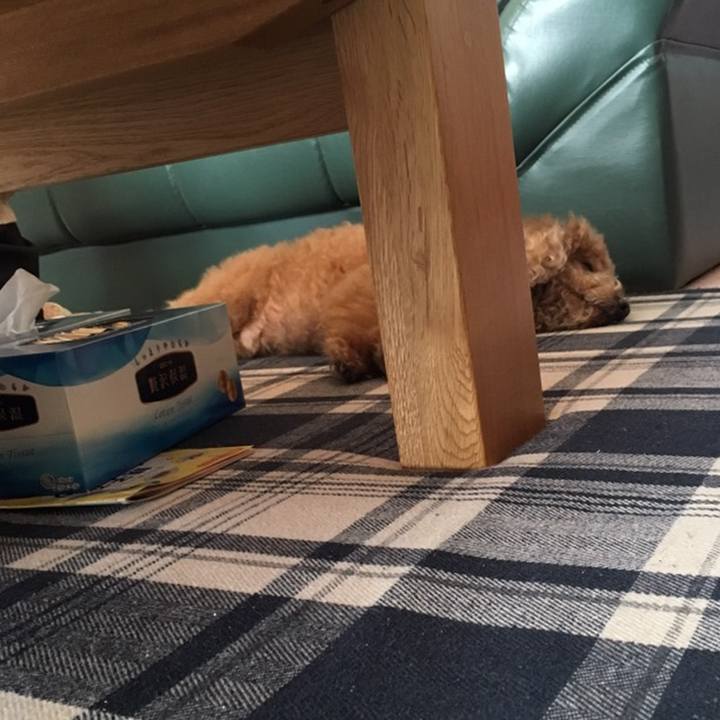 2e006ca1 59d8 43f2 9d85 fa6960a05bf0 1571400300901