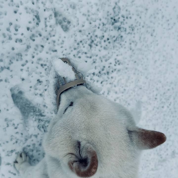 2e0073ff a206 42d4 be57 af4b7bea7b1a 1710714499453