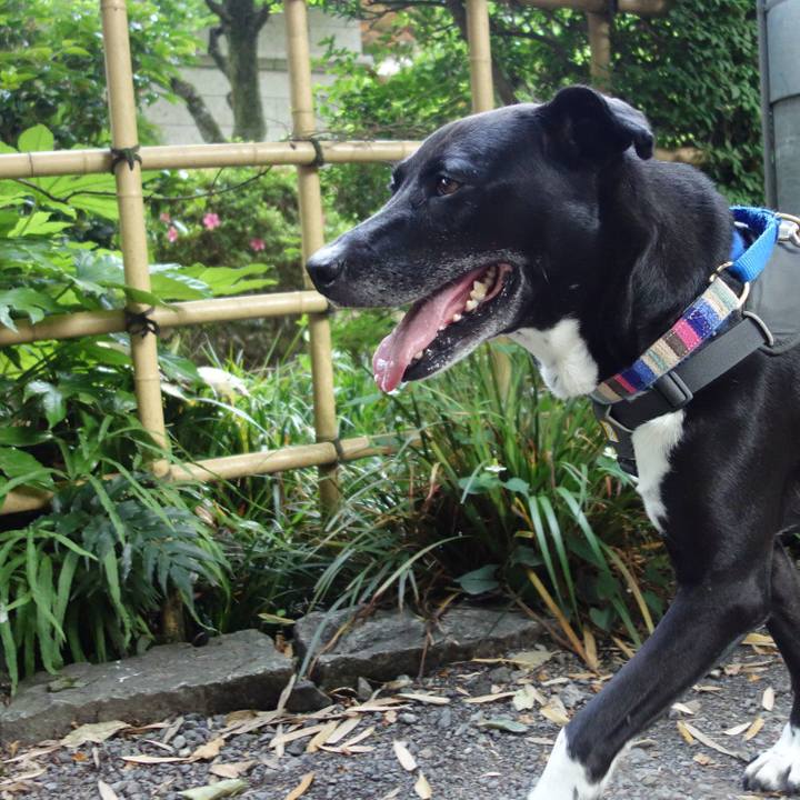 2e007a22 d139 4ce5 a1d9 9b64a2ec66ea 1653525684563