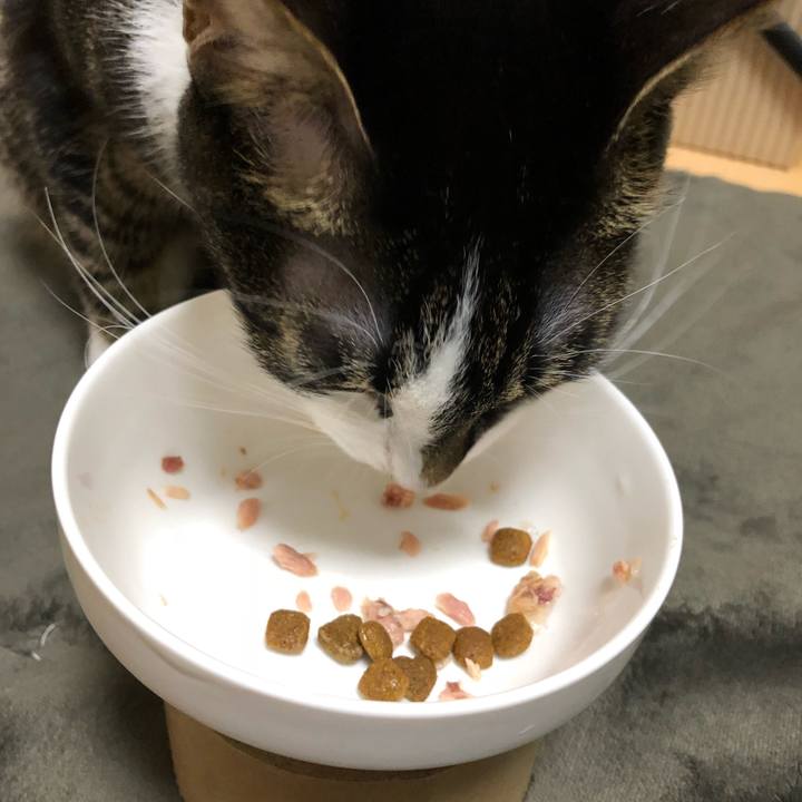 2e0097bd 48fe 4480 a484 b921486d156d 1514583203211