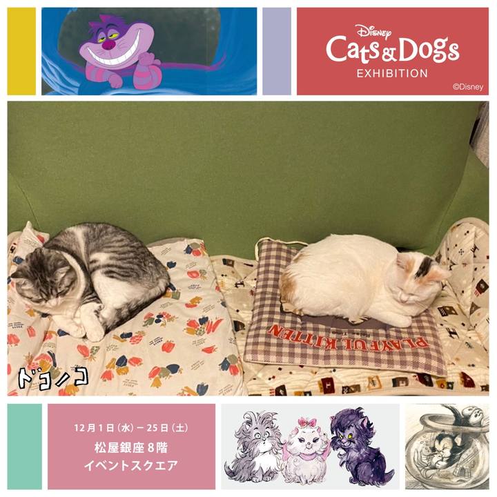 2e00b57d 88f8 4a02 b0fe 7fd92983d497 1639520775191