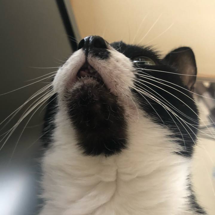 2e00b994 3043 4c86 b915 61a17326e23d 1596231060040