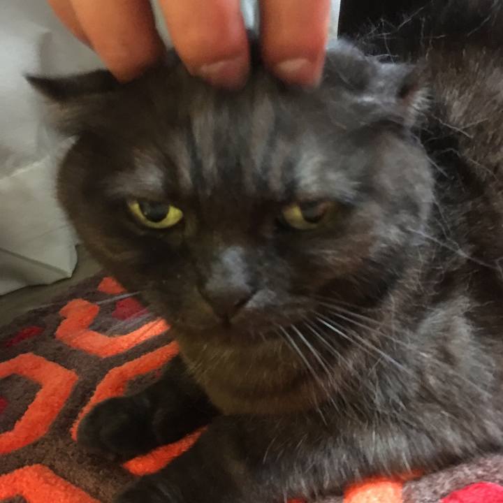 2e00cdef 17eb 4c97 a24b c9df9455019e 1556286422527